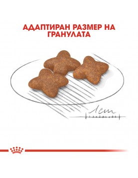 Royal Canin Mini Adult - Промо чувал 8+1кг