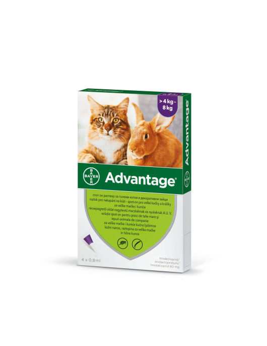 Advantage Spot On - противопаразитна пипета за котки с тегло от 4 до 8кг - Противопаразитни