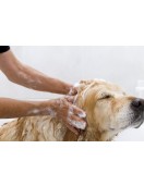 Douxo S3 Pyo Shampoo - 200мл - Грижа за кожата и козината