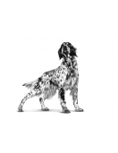 Royal Canin VHN Canine Sensitivity Control - Грижа за кожата и козината